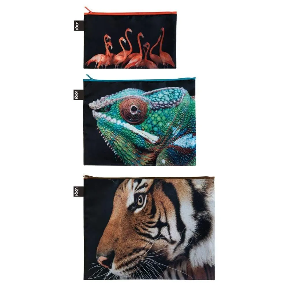 Loqi Zip Pocket (Set Of 3) National Geographic Collection - Tiger Chameleon Flamingos