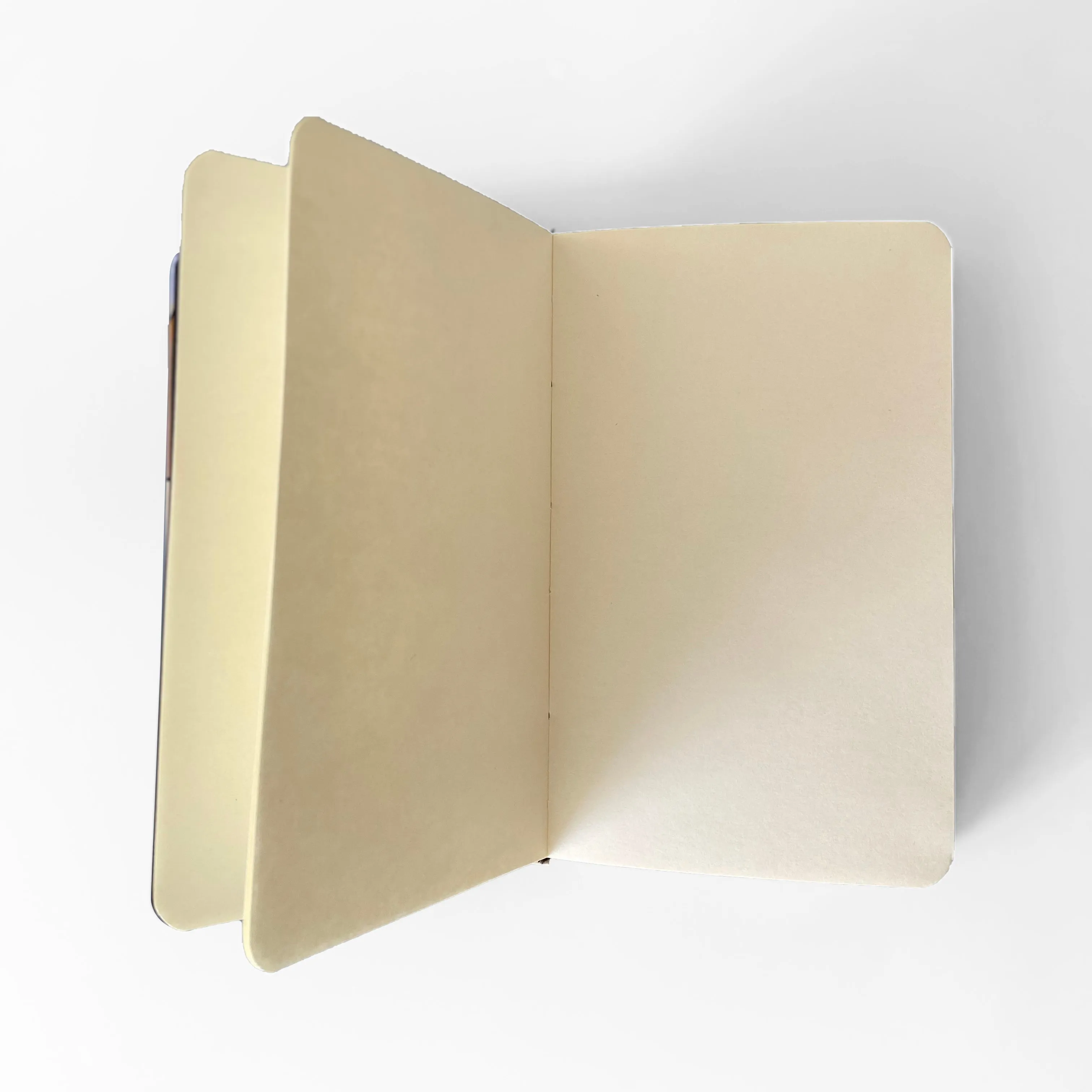 Talia Cu. x Stitch Lab Notebook, Summer print